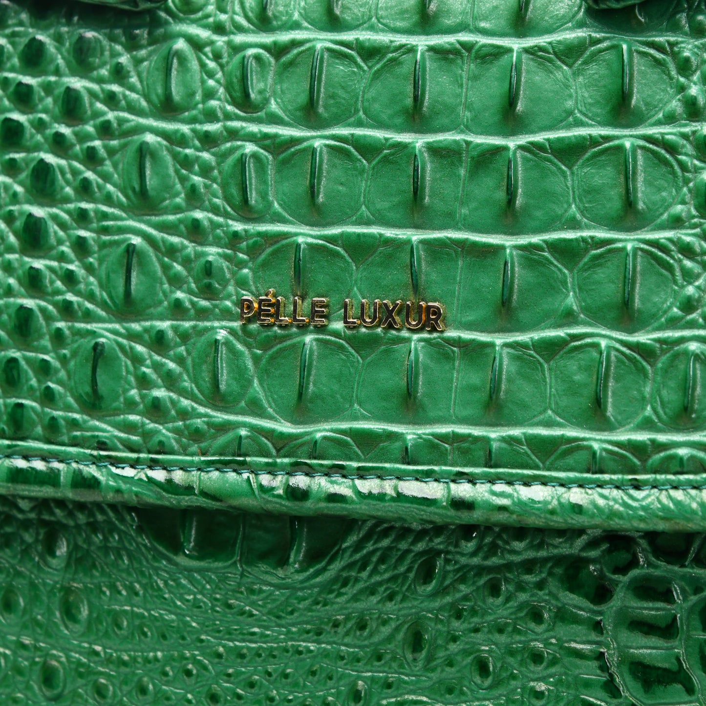 Pelle Luxur Hand Bag PL033