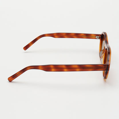 Pelle Luxur Unisex Sunglasses PLSG8416 - Buy 1 Get 1 Free